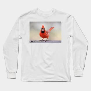 Cardinal Long Sleeve T-Shirt